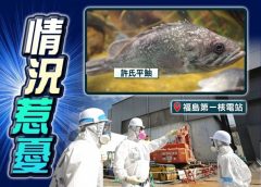 福島核電站港灣捕獲海魚　輻射超標180倍