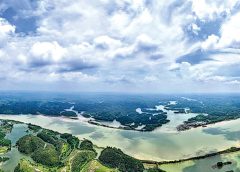 平陸運河今通航 面向東盟新樞紐 逾700億世紀工程 南寧出海直達星馬越